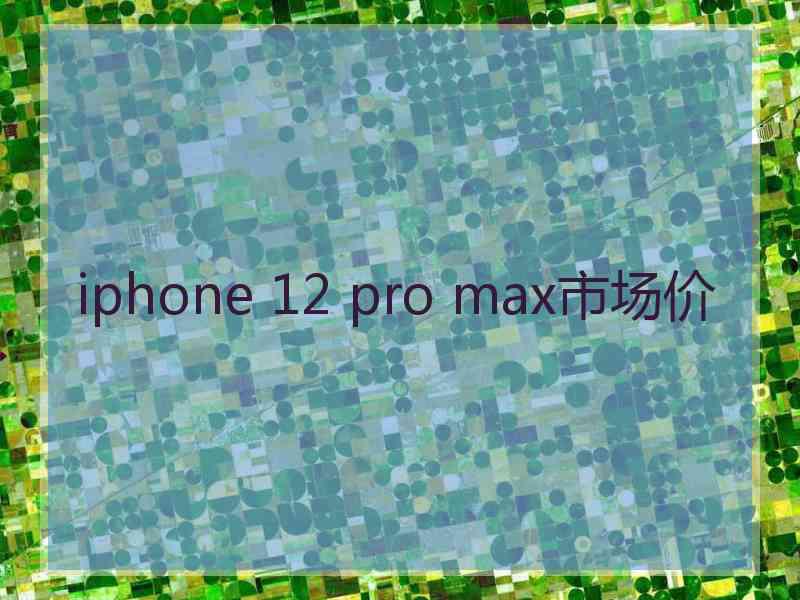 iphone 12 pro max市场价