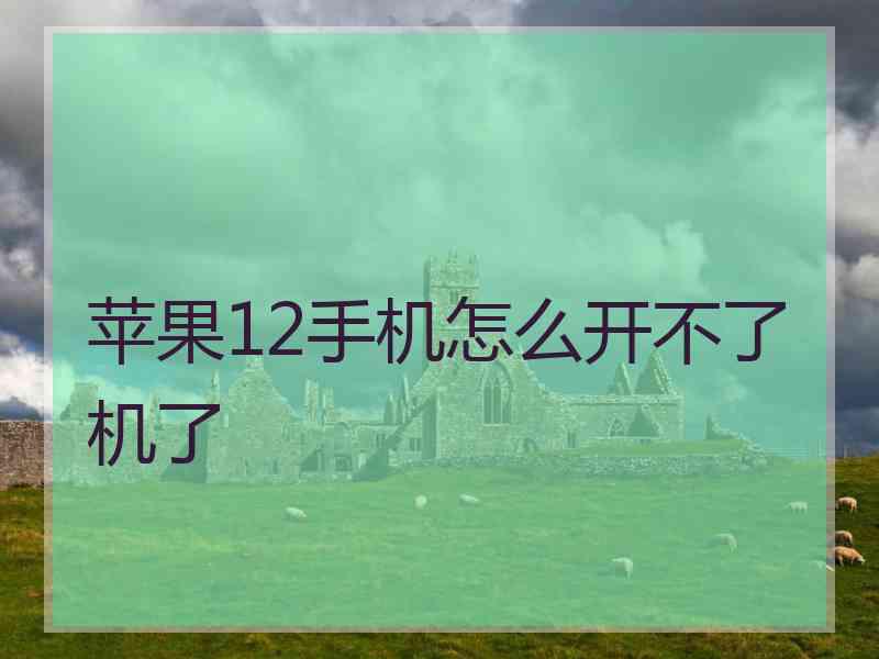 苹果12手机怎么开不了机了