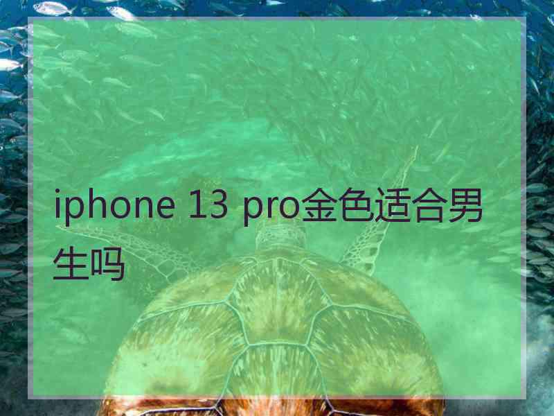 iphone 13 pro金色适合男生吗