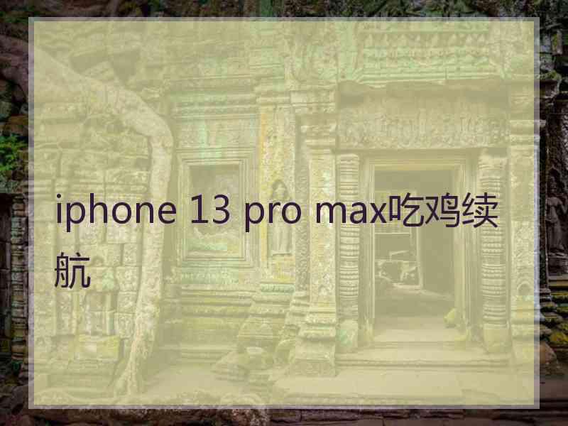 iphone 13 pro max吃鸡续航