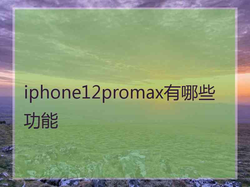 iphone12promax有哪些功能