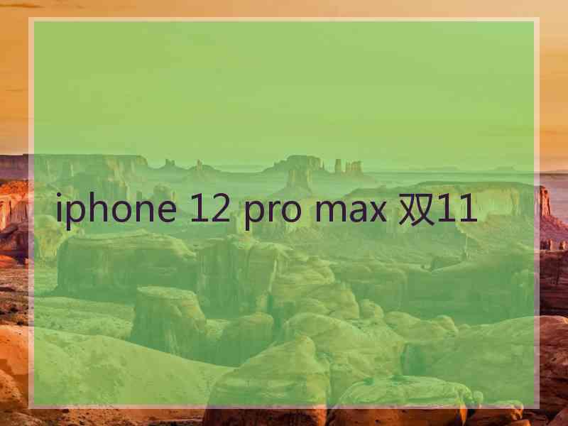 iphone 12 pro max 双11