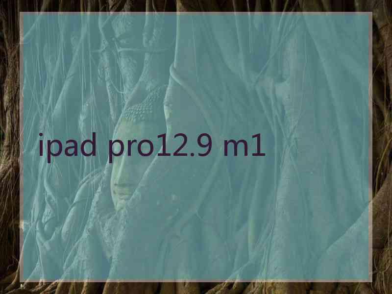 ipad pro12.9 m1