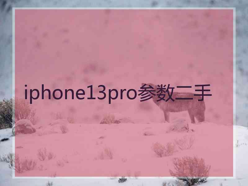 iphone13pro参数二手