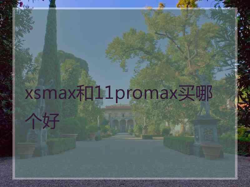 xsmax和11promax买哪个好