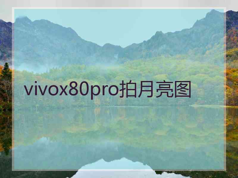 vivox80pro拍月亮图