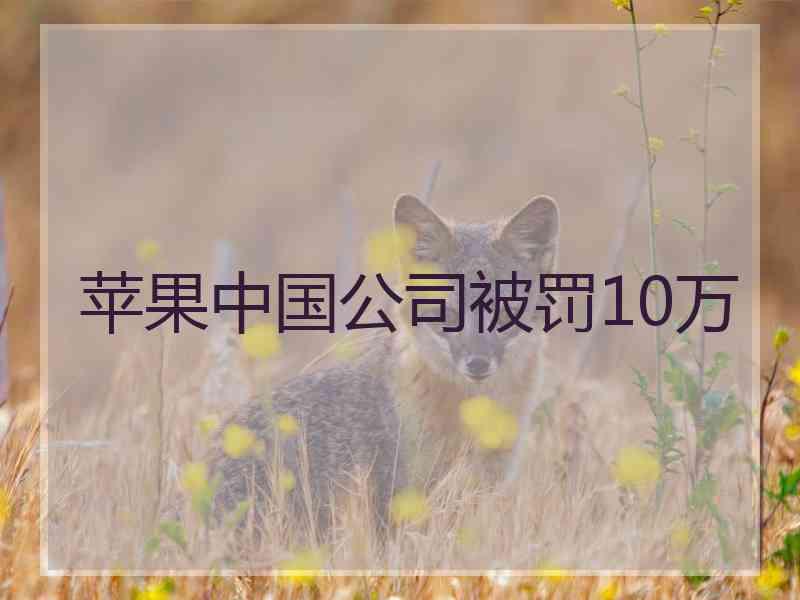 苹果中国公司被罚10万