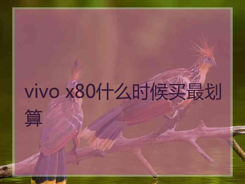 vivo x80什么时候买最划算