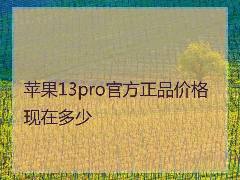 苹果13pro官方正品价格现在多少