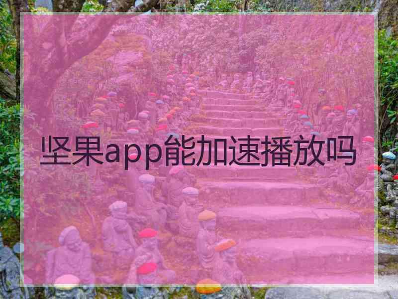 坚果app能加速播放吗