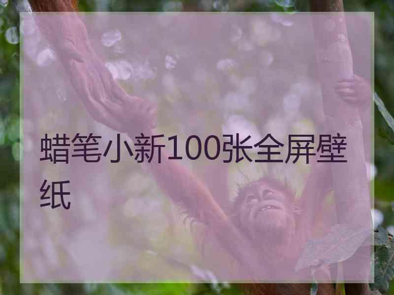 蜡笔小新100张全屏壁纸