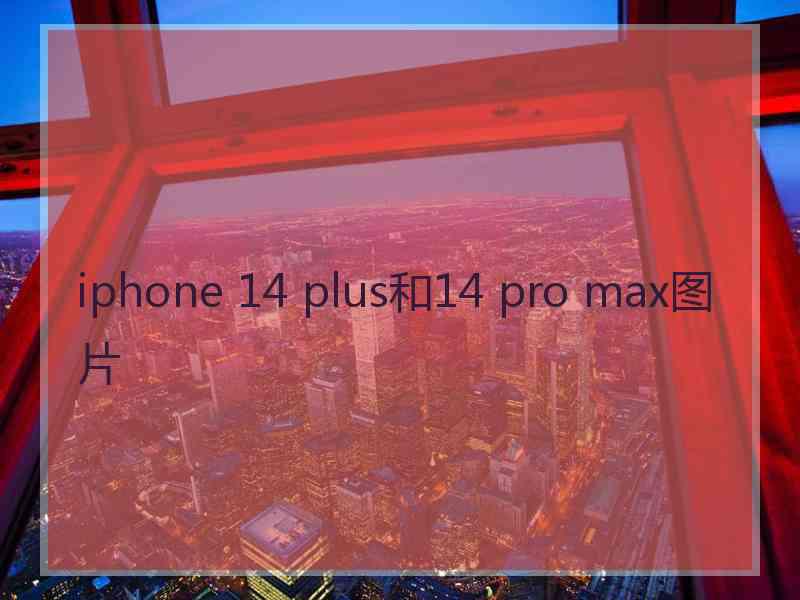 iphone 14 plus和14 pro max图片