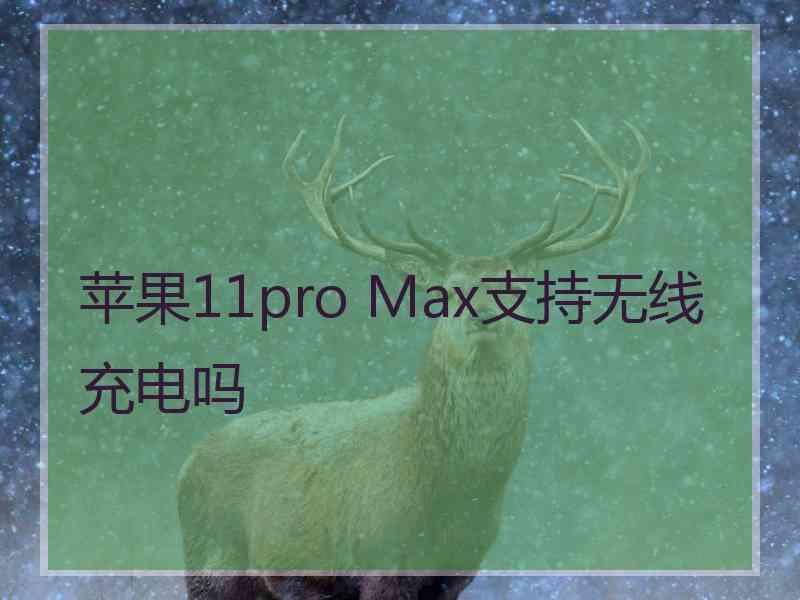 苹果11pro Max支持无线充电吗