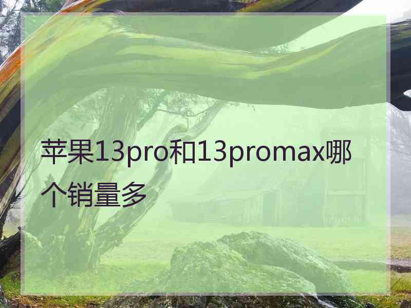 苹果13pro和13promax哪个销量多