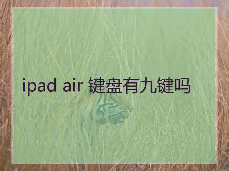 ipad air 键盘有九键吗