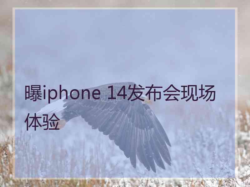 曝iphone 14发布会现场体验