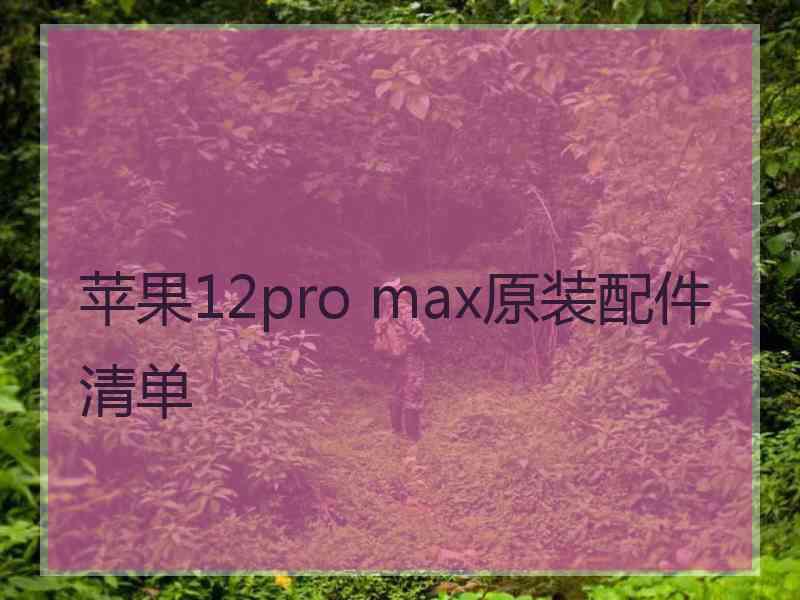 苹果12pro max原装配件清单