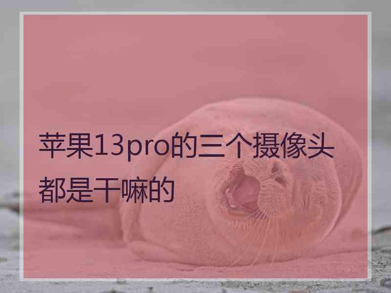 苹果13pro的三个摄像头都是干嘛的