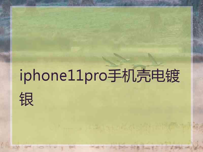 iphone11pro手机壳电镀银