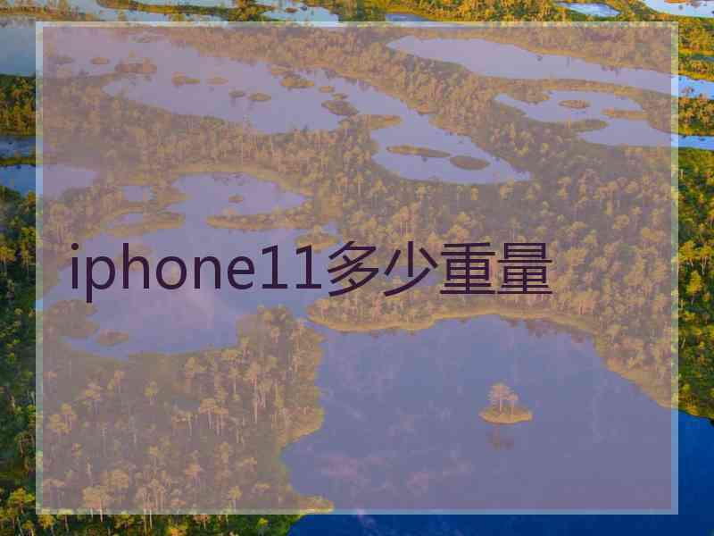 iphone11多少重量