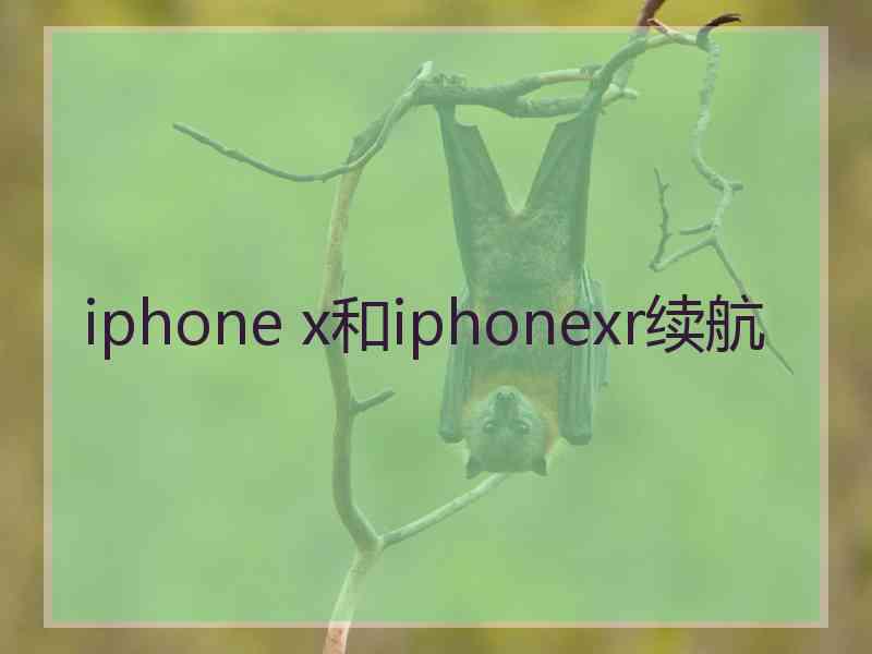 iphone x和iphonexr续航