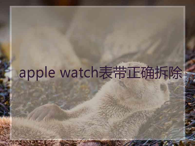 apple watch表带正确拆除