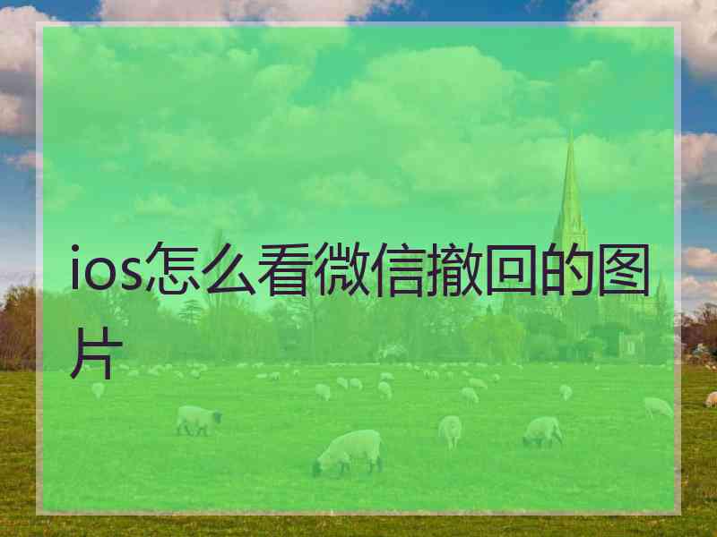 ios怎么看微信撤回的图片