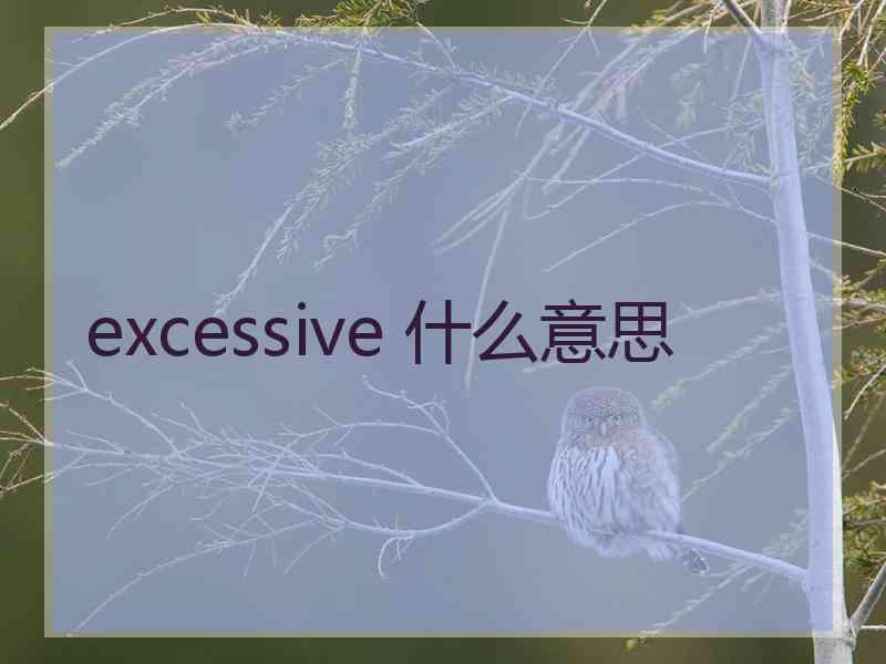 excessive 什么意思