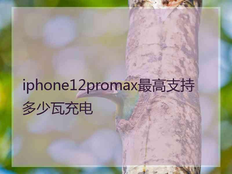 iphone12promax最高支持多少瓦充电