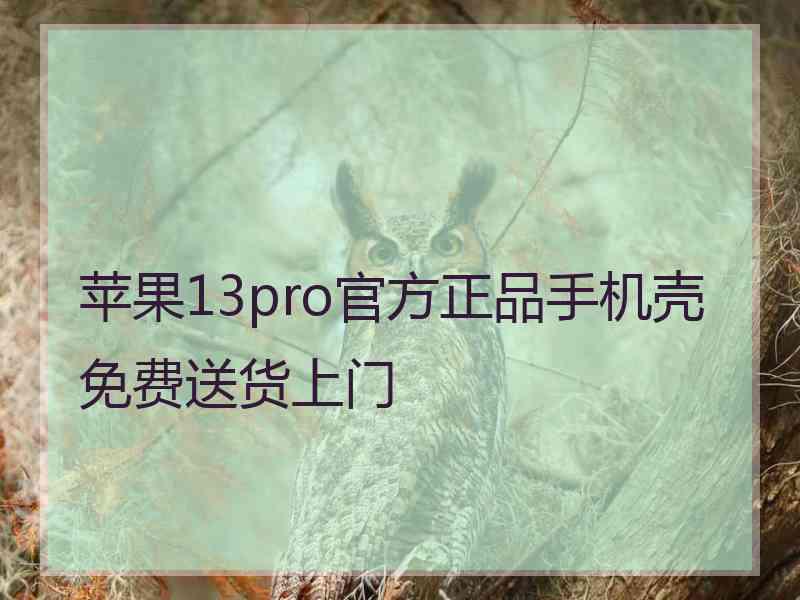 苹果13pro官方正品手机壳免费送货上门