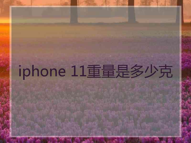 iphone 11重量是多少克