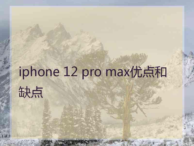 iphone 12 pro max优点和缺点