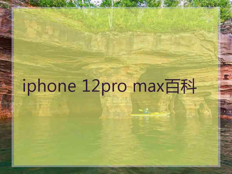 iphone 12pro max百科