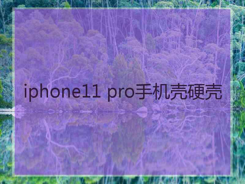 iphone11 pro手机壳硬壳