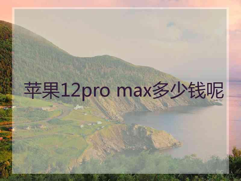 苹果12pro max多少钱呢