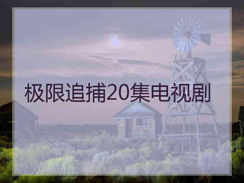 极限追捕20集电视剧