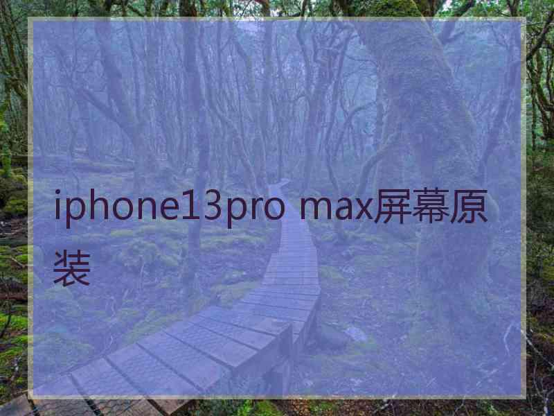 iphone13pro max屏幕原装