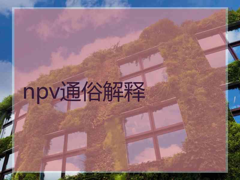 npv通俗解释