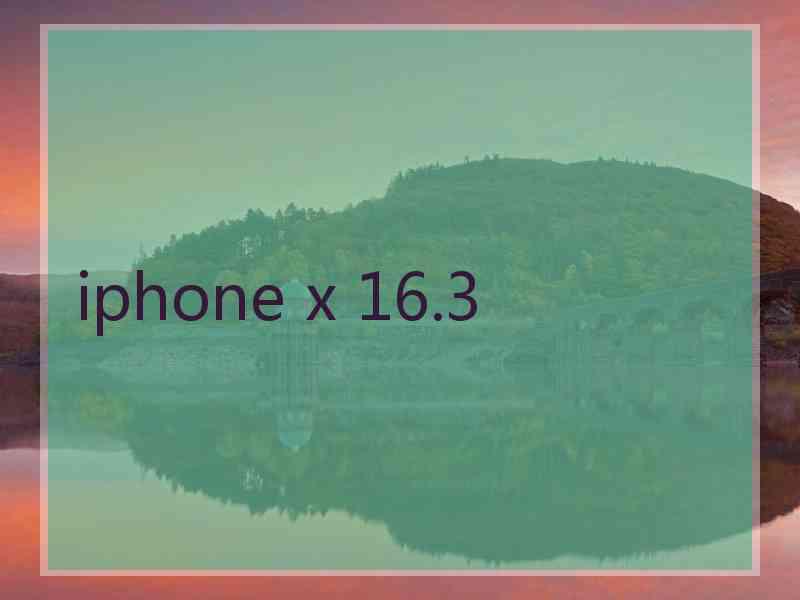 iphone x 16.3