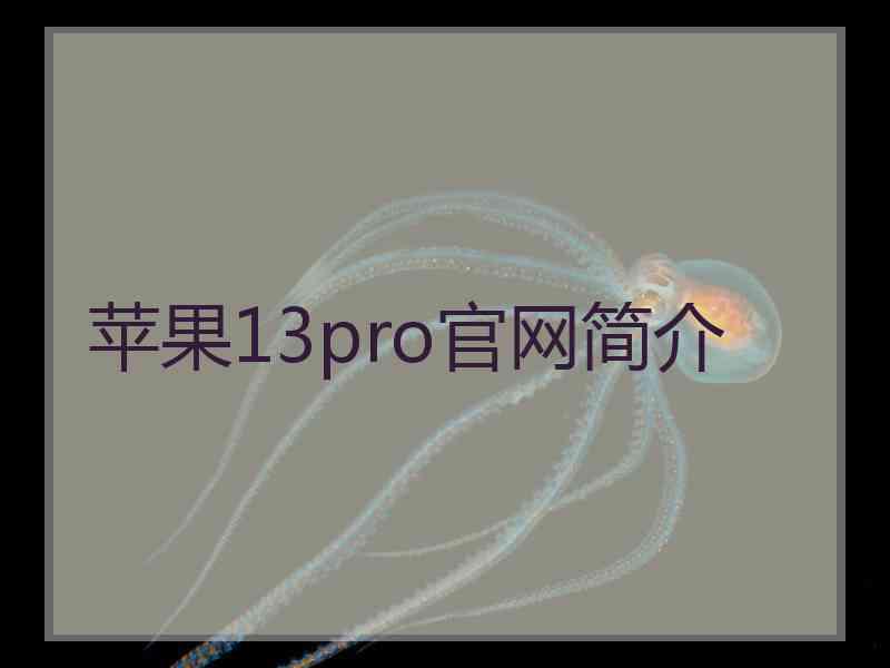 苹果13pro官网简介