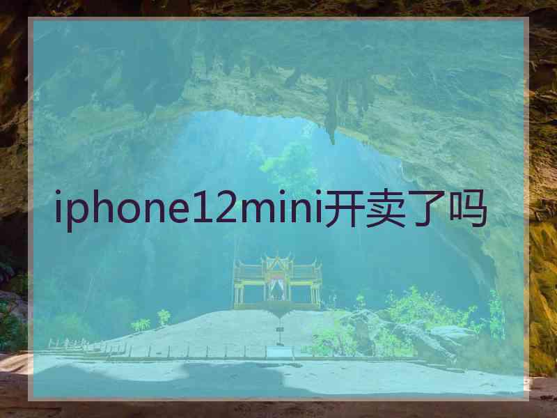 iphone12mini开卖了吗