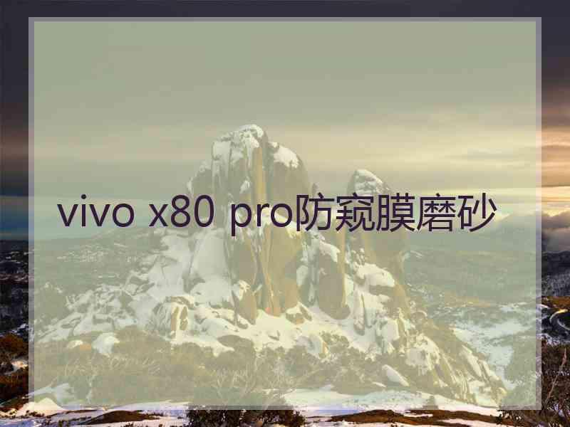 vivo x80 pro防窥膜磨砂