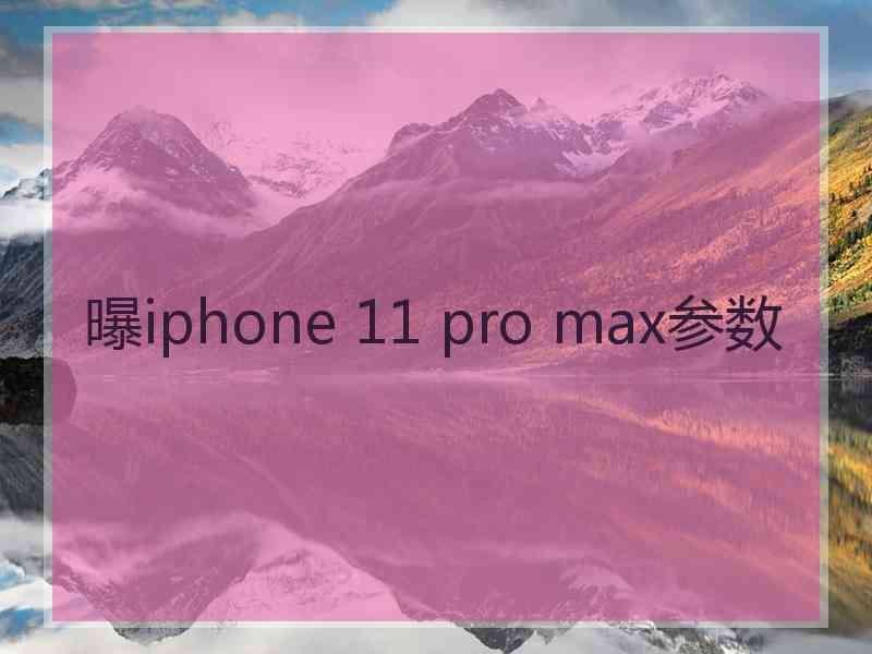 曝iphone 11 pro max参数