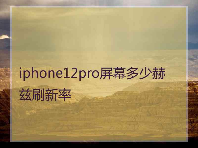 iphone12pro屏幕多少赫兹刷新率