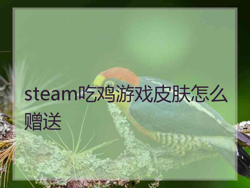 steam吃鸡游戏皮肤怎么赠送