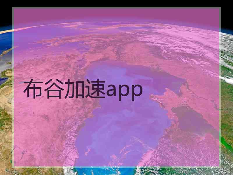 布谷加速app