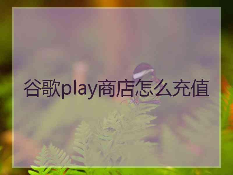 谷歌play商店怎么充值