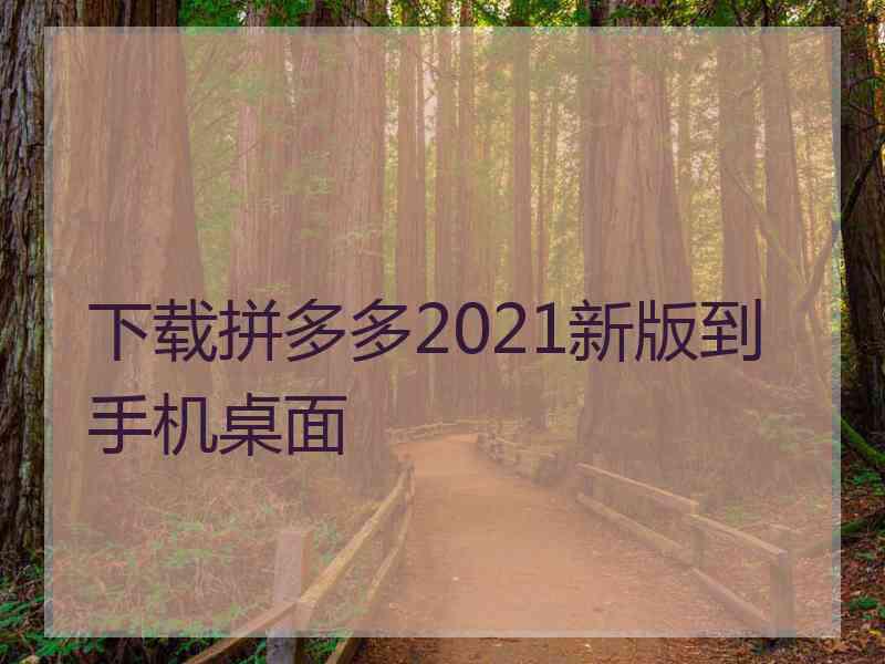 下载拼多多2021新版到手机桌面