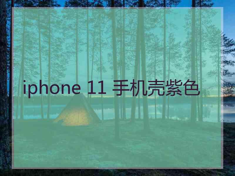 iphone 11 手机壳紫色