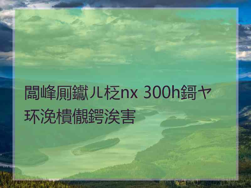 闆峰厠钀ㄦ柉nx 300h鎶ヤ环浼樻儬鍔涘害